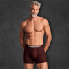 Titan Boxer™ Bamboo Leak-Proof Briefs